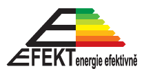 logo EFEKT 2019
